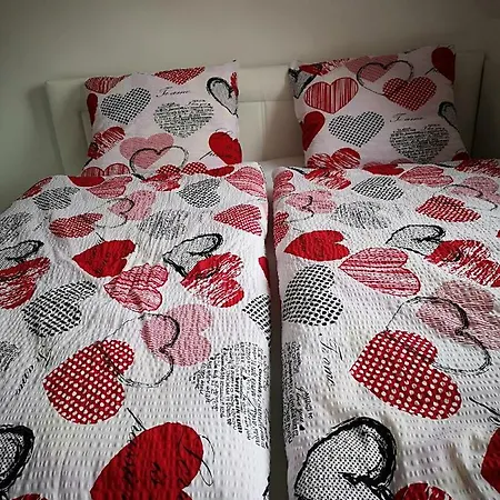 Apartmán Centrum Leyla 5 *
